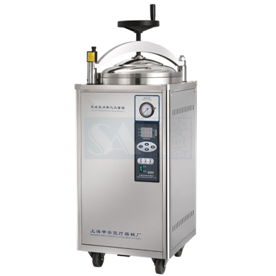 LDZX-50KBS型高压蒸汽灭菌器 非医疗